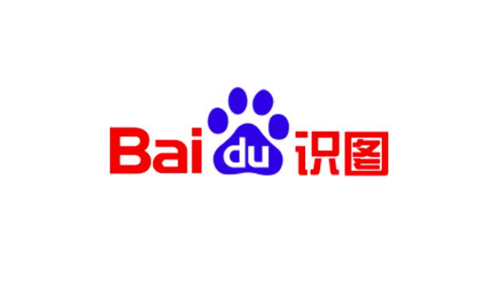 蜘蛛池国际化发展的挑战与机遇
